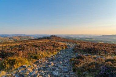 Stiperstone 'daki Rocky yolu, İngiltere, Shropshire' daki Ulusal Doğa Rezervi.