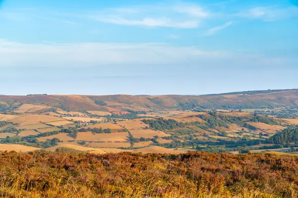 İngiltere 'nin Shropshire kentindeki Long Mynd Tepesi manzarası Stiperstones Doğa Koruma Alanından alınmıştır.