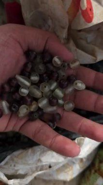 Plastik bir çantada bir sürü siyah beyaz inci var..