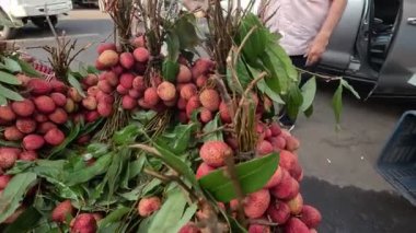 Hint meyvesi, mango, Hint mango meyvesi.