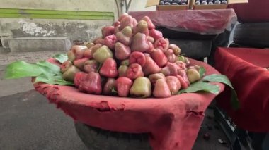 taze kırmızı ve beyaz fasulye