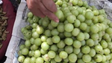 Piyasada taze yeşil üzümler