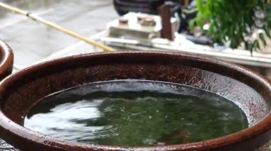 Arka planda yeşil yapraklar olan bir göletin yüzeyine düşen güzel bir su damlasının yakın plan çekimi.