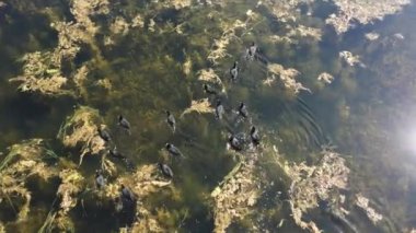 Dağlardaki nehrin güzel manzarası