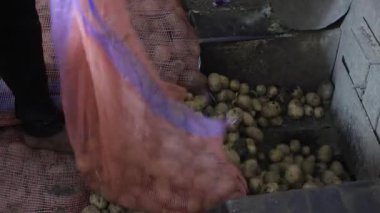 Küçük bir kasede pişirme işlemi