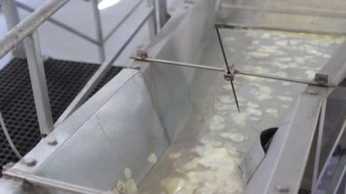 Peynir üretimi süreci