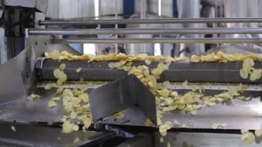 Endüstriyel fabrika, nakliye hattı, yiyecek