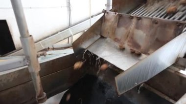 Kirli yemek yapma süreci.