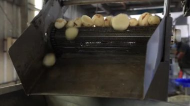 Fabrikada peynir yapma sürecinin görüntüsü.