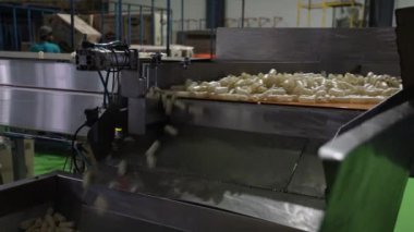 fabrika peynir üretimi