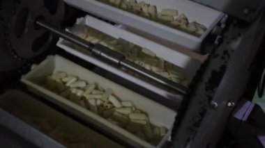 Fabrikadaki peynir üretimi.