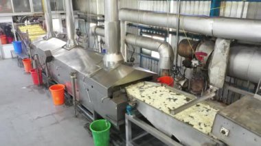 Bir süt fabrikası üretimi