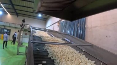 makarna bir sonraki konveyör satırına gidiyor