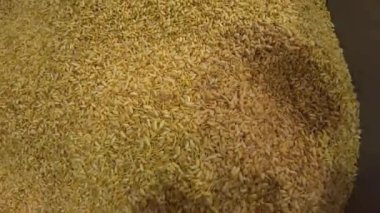 Tahta kasedeki kuru altın pirinç manzarası