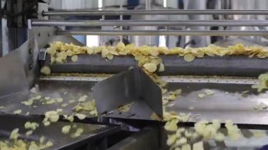 Fabrika patates cipsi üretimi. Patates üretimi. Yemek süreci. Patates üretimi. Patates. Patates İşlemi.