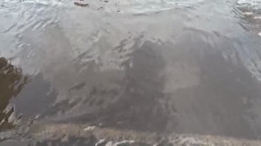 Yolda ve suda yağmur yağıyor. Damlalar halinde düşüyorum.