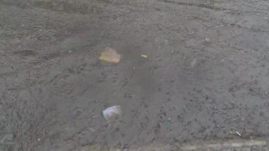 Çöp, devam eden yağmurda suda akıyor.