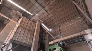 İşçiler gıda işleme mevsiminde gıda üretimi üzerinde çalışıyorlar.  