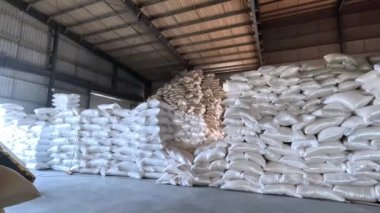 İşçiler gıda işleme mevsiminde gıda üretimi üzerinde çalışıyorlar.  