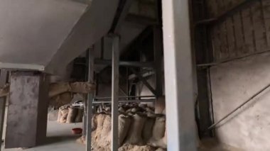 İşçiler gıda işleme mevsiminde gıda üretimi üzerinde çalışıyorlar.  