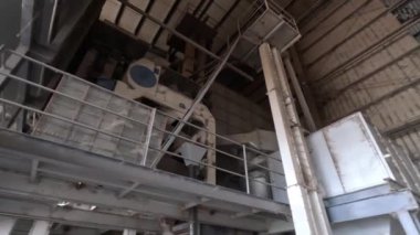 İşçiler gıda işleme mevsiminde gıda üretimi üzerinde çalışıyorlar.  