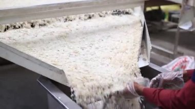 Pofuduk pirinç ambalaj hattına giriyor. 