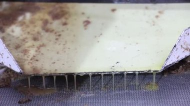 Kirli ve ıslak bir saç fırçası görüntüsü