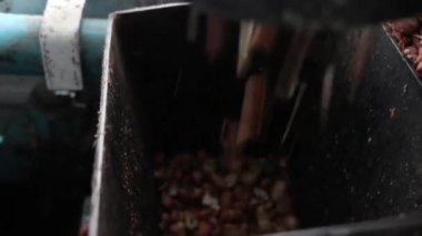 Tahtada kızarmış patates, yakın çekim..