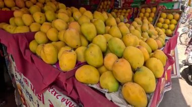Alphonso mangosu meyve pazarında düzenli görünüyor. 