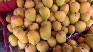 Alphonso mangosu meyve pazarında düzenli görünüyor. 