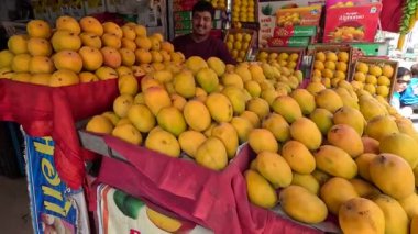 Alphonso mangosu meyve pazarında düzenli görünüyor. 