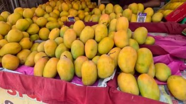 Alphonso mangosu meyve pazarında düzenli görünüyor. 
