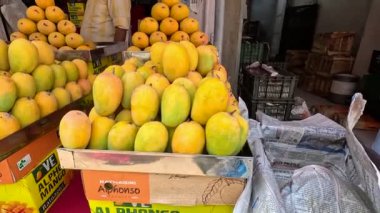 Alphonso mangosu meyve pazarında düzenli görünüyor. 
