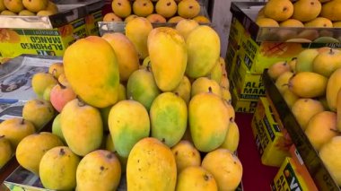 Alphonso mangosu meyve pazarında düzenli görünüyor. 