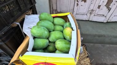Alphonso mangosu meyve pazarında düzenli görünüyor. 