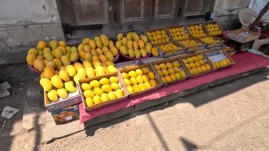 Mangolar pazardaki mango dükkanında organize olmuşa benziyor. 