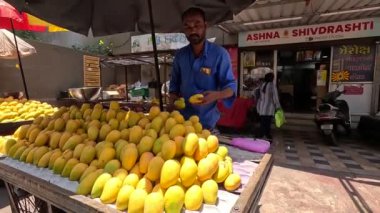 Mangolar pazardaki mango dükkanında organize olmuşa benziyor. 