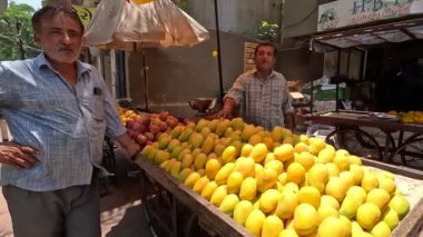 Mangolar pazardaki mango dükkanında organize olmuşa benziyor. 