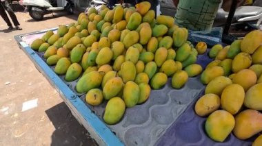 Mangolar pazardaki mango dükkanında organize olmuşa benziyor. 