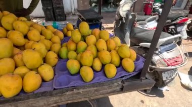 Mangolar pazardaki mango dükkanında organize olmuşa benziyor. 