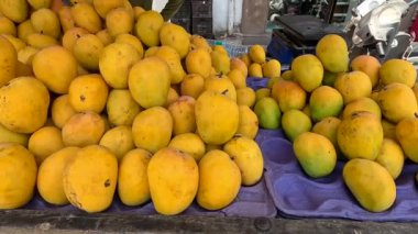 Mangolar pazardaki mango dükkanında organize olmuşa benziyor. 