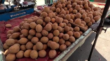 Yavrular düzenli görünüyor.