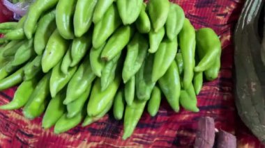 Yeşil biberler düzgün yerleştirilmiş görünüyor.