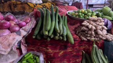 Gekalar düzenli bir şekilde düzenlenmiş gibi görünüyor.