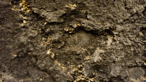 Siyah ve sarı bir liken ile kaplı bir duvarın dokusu.