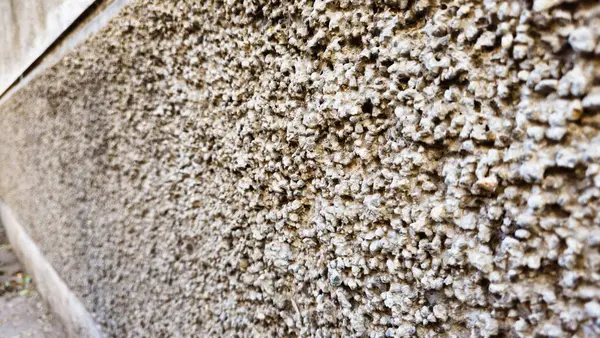 eski duvar taş olan