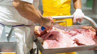 Kasaplar, insan tüketimi için katledilen etin iç organlarını inceliyor.