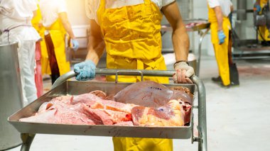 Tanımlanamayan sığır katliamı yapan fabrika işçisi inek iç organlarını taşıyor.