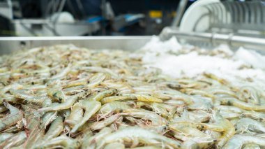 Endüstriyel bir fabrikada donmuş karides veya karides yığını