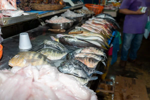 Markt Voor Zeevruchten Latijns Amerika Verse Vis Tentoongesteld Een Winkelcentrum — Stockfoto